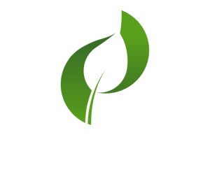 BioTornado logo white text